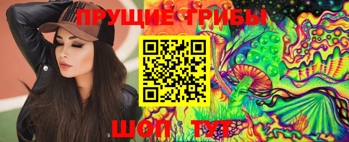Псилоцибиновые грибы GOLDEN TEACHER  как найти закладки  Ейск  Вход с VPN 